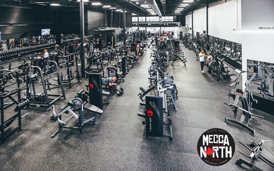 pure muscle and fitness membership cost